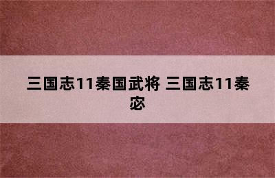 三国志11秦国武将 三国志11秦宓